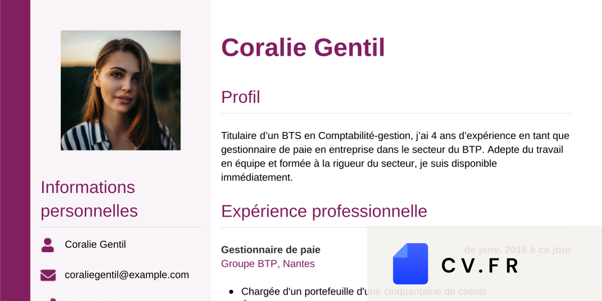 Exemple de CV de gestionnaire de paie CV.fr